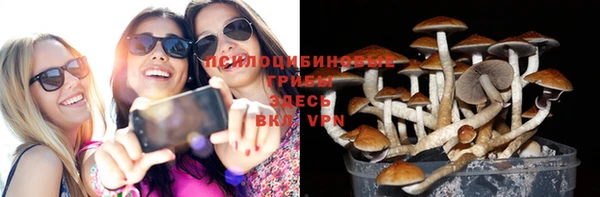 мескалин Бронницы