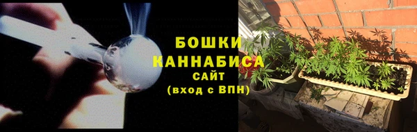 ALPHA PVP Бородино