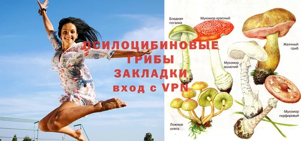 apvp Верея