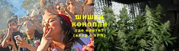 apvp Верея