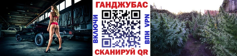Канабис сатива  Кирсанов 